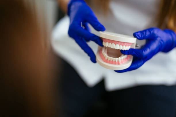 Best General Dentistry  in Brownsville, FL